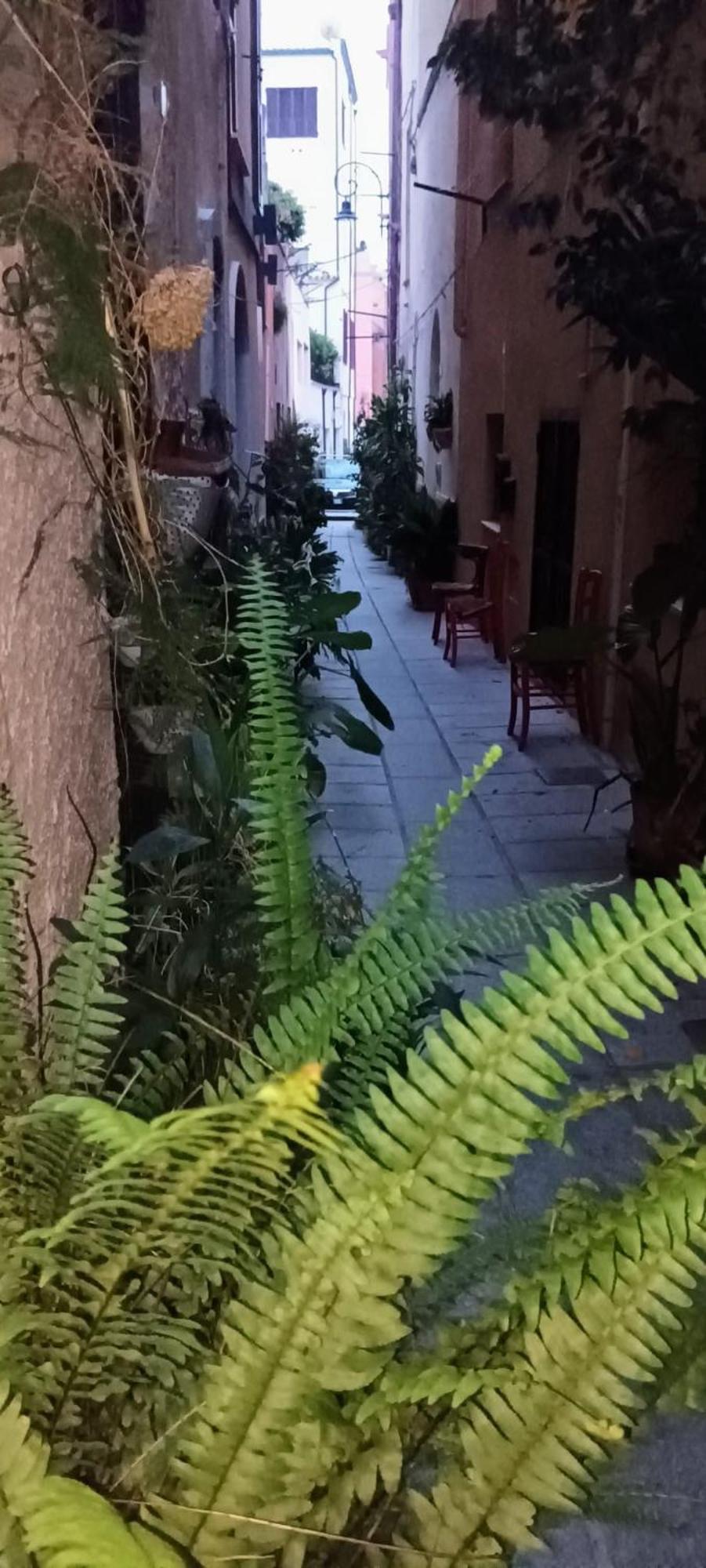Casa Vacanze Nel Cuore Di Cagliari Exterior photo